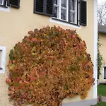 Kuegler-eppich, Kuep Kg Proleb