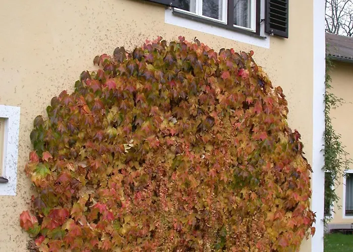 Kuegler-eppich, Kuep Kg Proleb